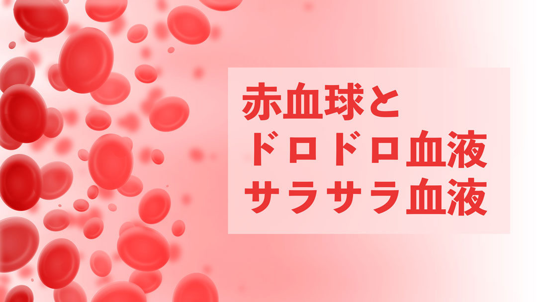 赤血球とドロドロ血液・サラサラ血液